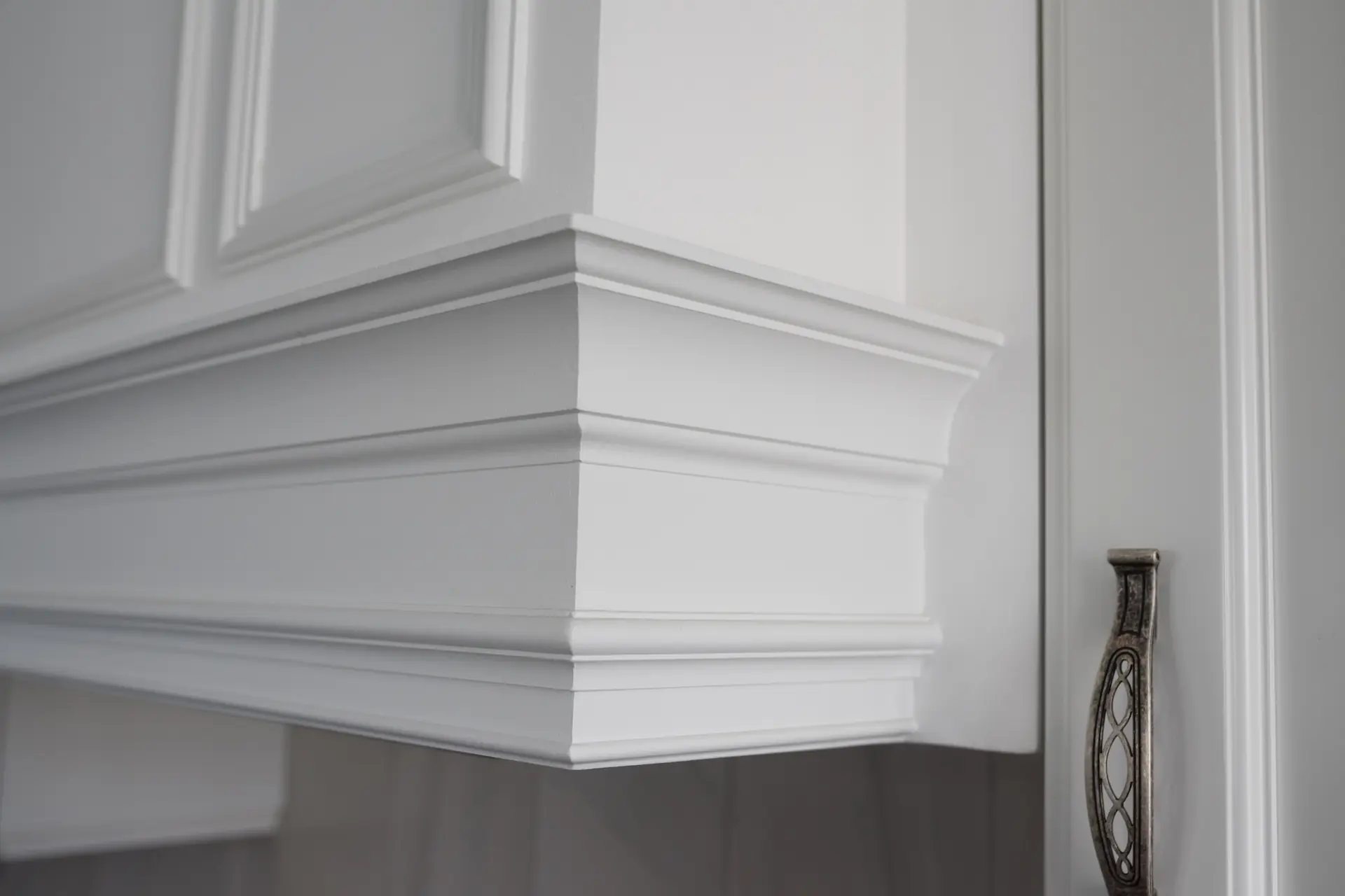 Trim and Finish Carpentry